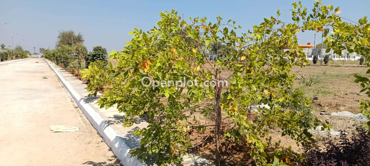 Plot for Sale in R.G.I. Airport,Ranga Reddy